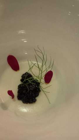 Caviar Buttermilk Panna Cotta.jpg
