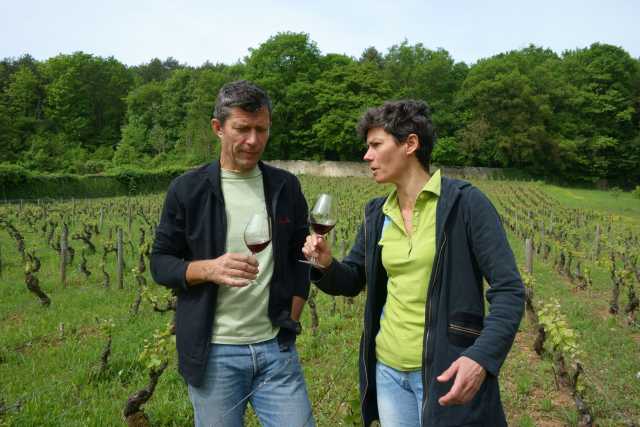 Les Clos is planted in the garden of the Domaine Roumier.JPG