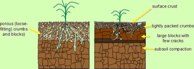 Soil Compaction TheOrangeGardener.Org.jpg