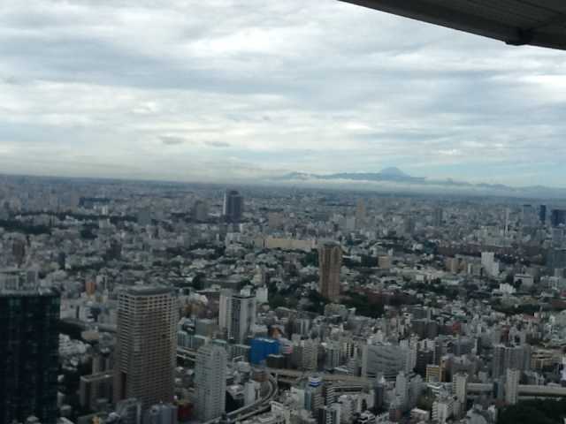 Mt Fuji from Tokyo.jpg