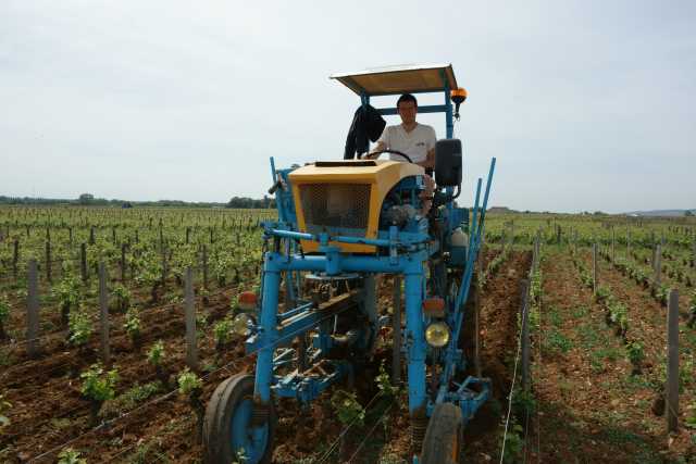 Bertrand Dugat driving his straddle tractor, May 2015.JPG