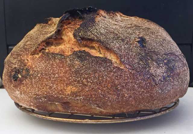 Bread #1b 7-19-17.jpg