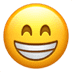 :grin: :grin: