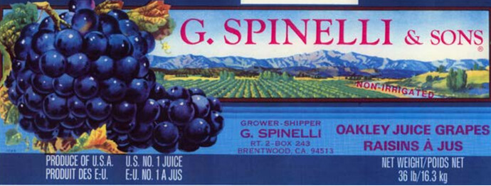 G Spinelli Grape Crate Label.jpg