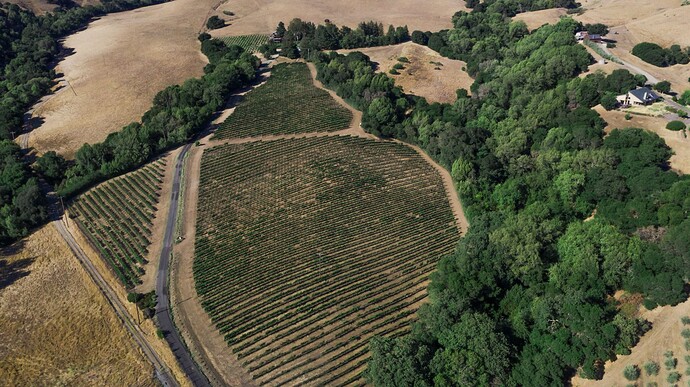 Elkhorn Peak Estate Vineyards