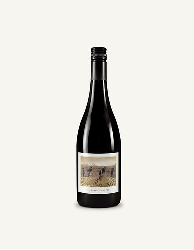 2021 Cinsaut/Syrah "En Passerilage"