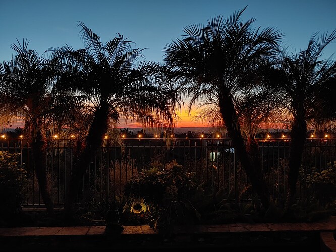 20221216_171316_HDR