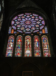 IMG_2320