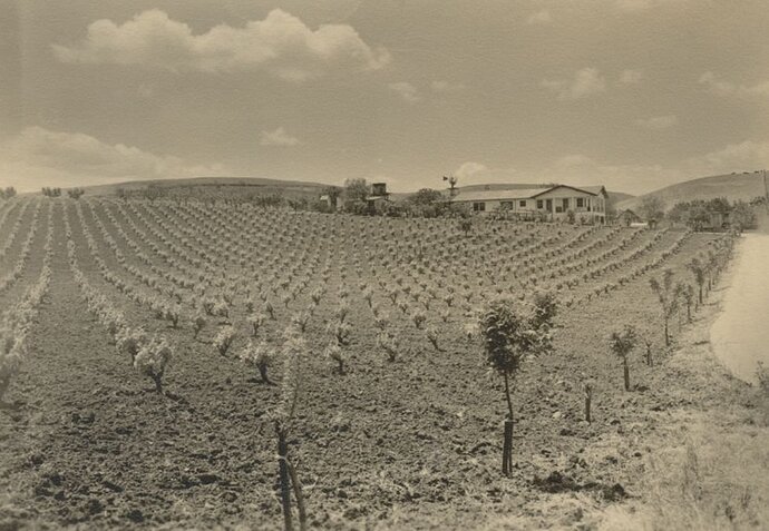 V-Jacuzzi-vineyard.jpg