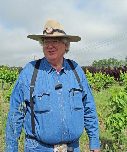 13 deaver mission vines - ken deaver.jpg