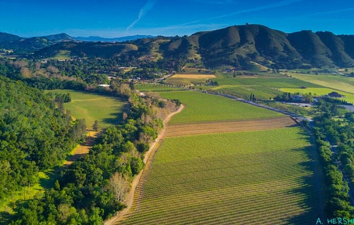 Dorcich-Family-Vineyards_Guide-IMG.jpg