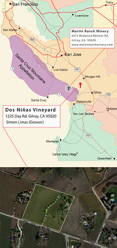 Dos Niñas Vyd - Martin Ranch map.jpg