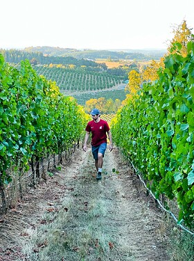 Kenny at Stiling Vineyard