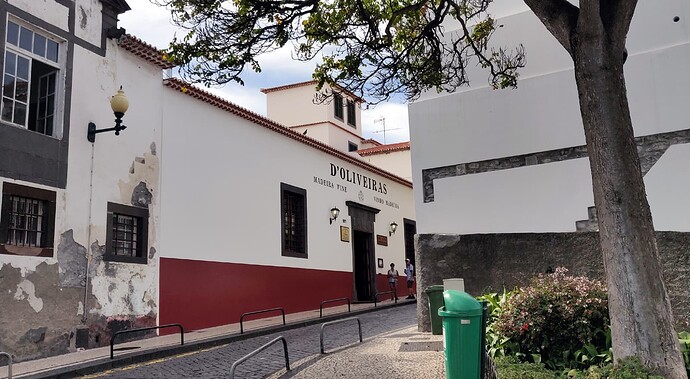 22-oliveiras