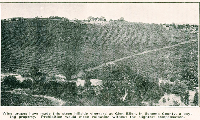 Hillside Vyd, Glen Ellen - CGPA pamplet.png