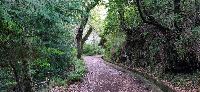 37-levada