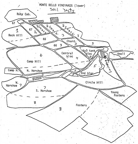 Terry Wright Lower Monte Bello Vyd Soil Tests Map.jpg