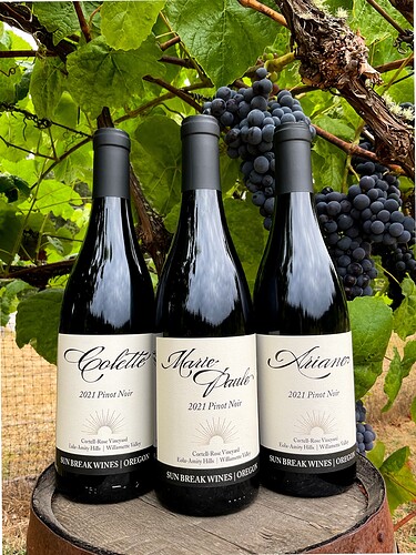 2021 Pinots Three