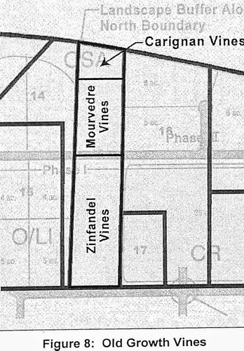 Old Growth Vines in E 18th St Specific Plan area.png