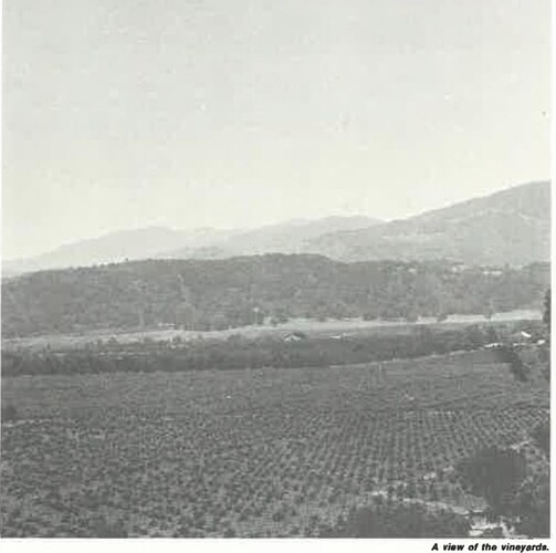 Pellier family vineyards Signpost book