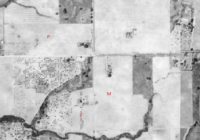 OlivetAndPinerIn1942.jpg
