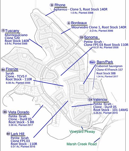 Trilogy-Vineyards-Map-w-clone-and-root-stock-Banner-Rev3-16-21-1081x1536(1).jpg