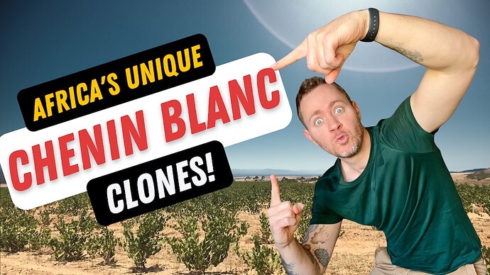 Fledge Chenin - Africa's Clones YT thumbnail