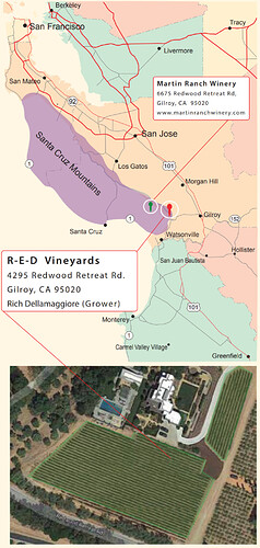 R-E-D Vineyard (PDF detail from Martin Ranch).jpg
