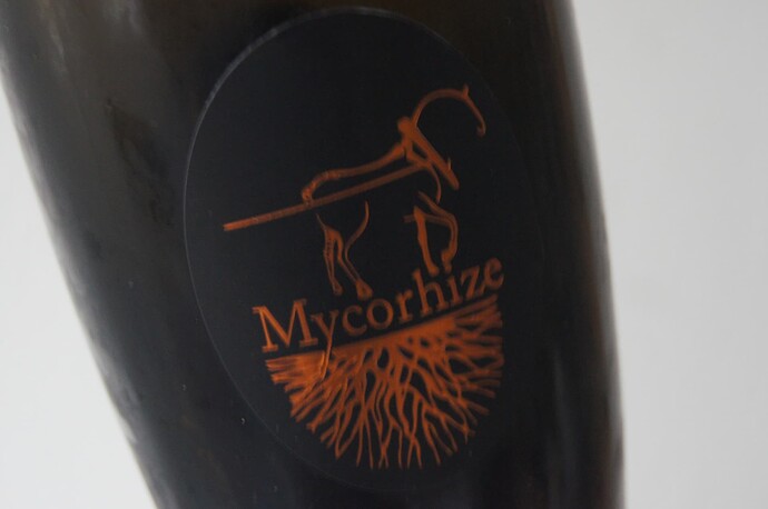 Mycorhize De Sousa
