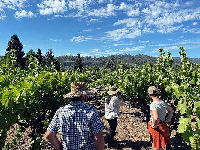 Teldeschi Carignan CBRasmussen Instagram post