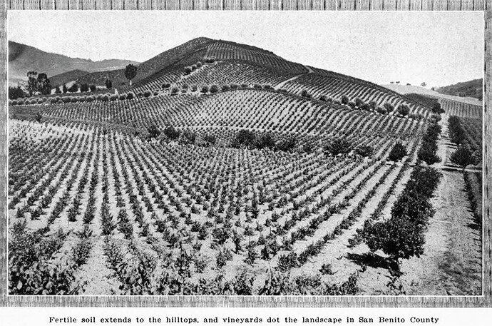 San Benito County Vineyards 1910 Sunset Mag.jpg