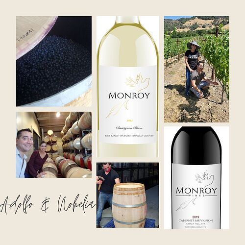 Monroy Wines BD14 2