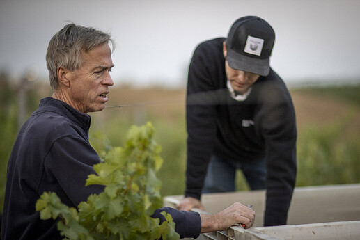 21-08-28th - Calluna Harvest #1_F1I4554