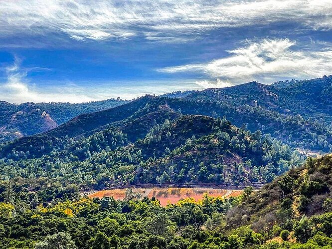 Enz Vineyard photo from Drink Monterey.jpg