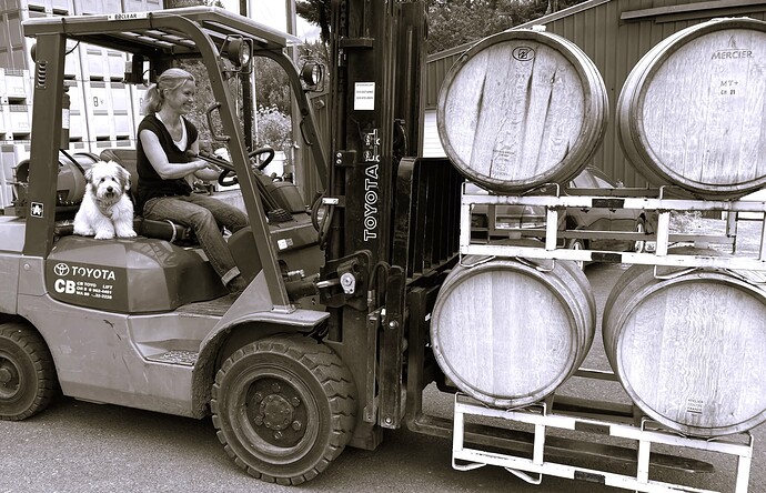 Bella tui forklift - Copy