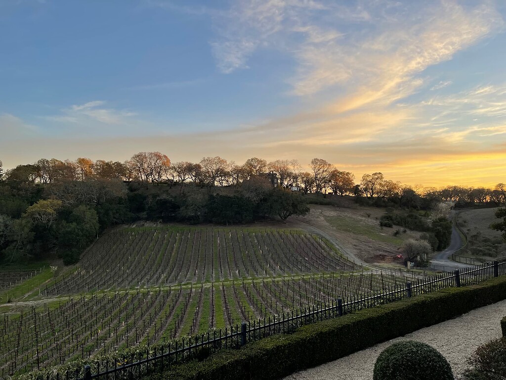 Napa Trip report February 2023. Cathiard, Sodaro, Vineyardist, Beta