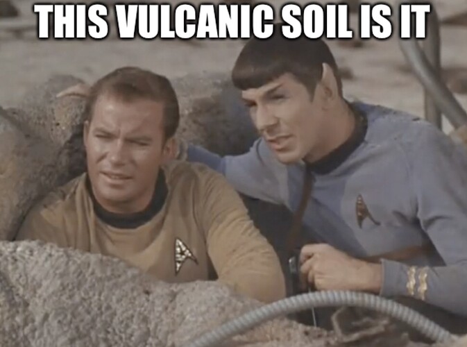268B3B38-49BC-4C6A-8449-9B6523CAF606.jpeg