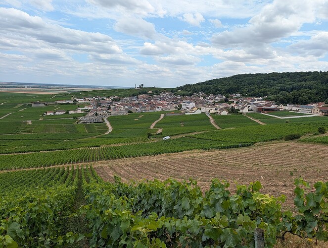 PXL_20260630_120940518 (1)