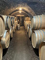 Cellar