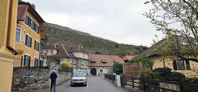 0303_hirtzberger