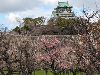 PXL_20240307_012138337