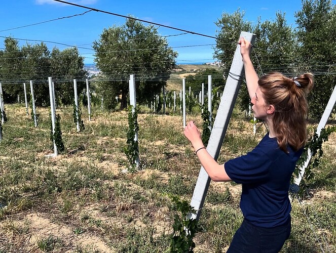 1AB85DB6-AF15-4E1E-9225-3D2265947BD1