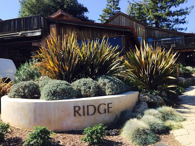 Ridge Winery