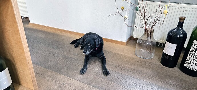 0213_wieninger