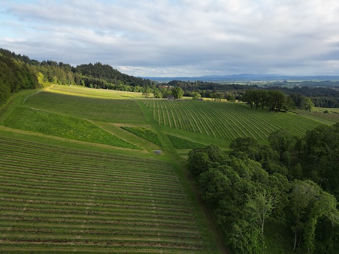 dji_fly_20240322_021922_190_1714751966748_photo