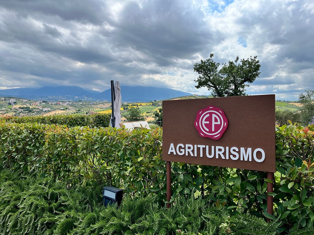 A Visit to Emidio Pepe in Abruzzo - WINE TALK - WineBerserkers, image size:1024x768