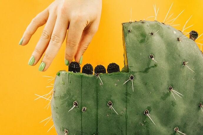 cactus gummies