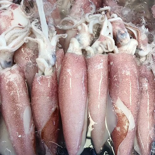 menueditor_item_5406b37ebf144781820b014919234c78_1684632884344023219