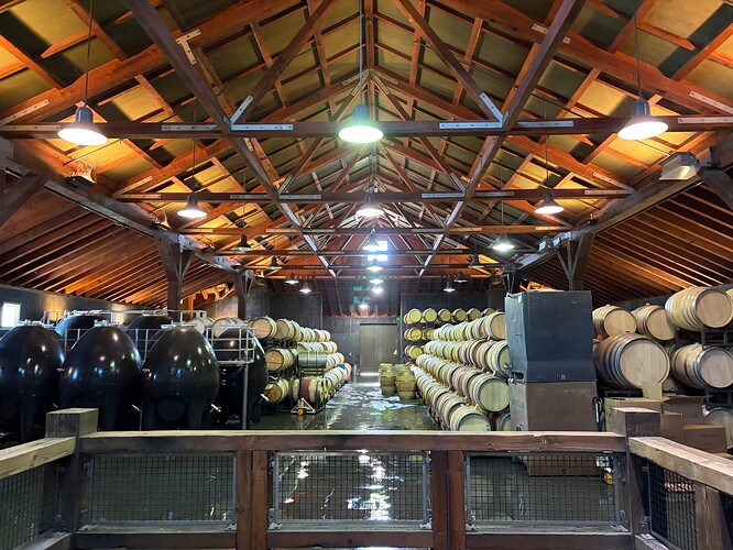 IMG_8517