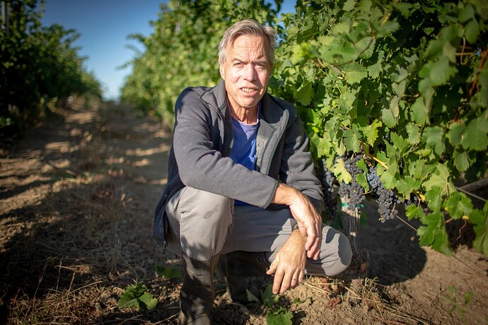 david_in_raynaud_merlot_block